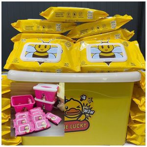 Bucket with 10 wipes (1bucket)