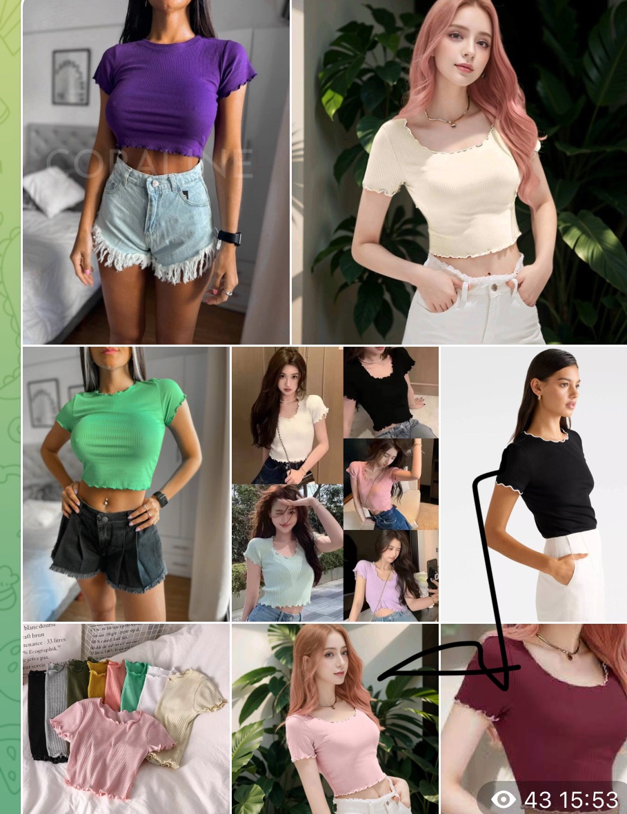 Ladies basic top 5pcs